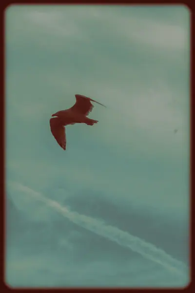 Flying